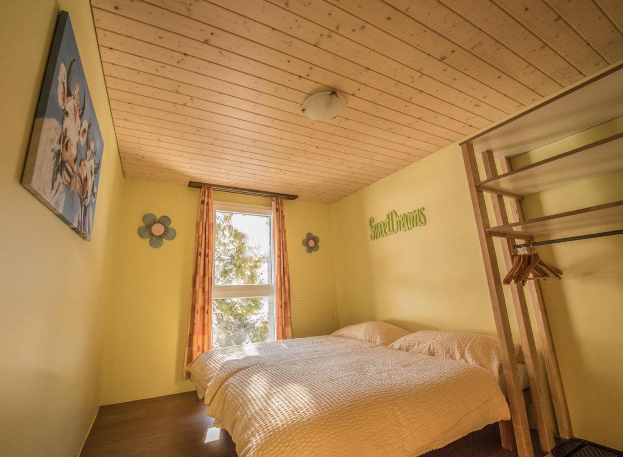 A Pousada Schutzenbach Backpackers For Adults 18-34 Lauterbrunnen Exterior foto